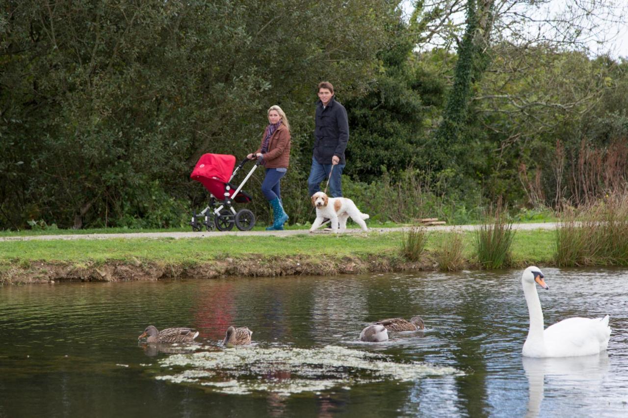 Swallow Lodge With Hot Tub, Dogs Welcome Sleeps 8, Great Resort Facilities Padstow Exterior photo