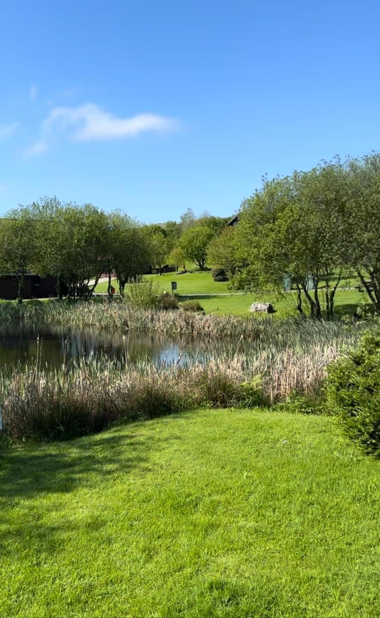 Swallow Lodge With Hot Tub, Dogs Welcome Sleeps 8, Great Resort Facilities Padstow Exterior photo