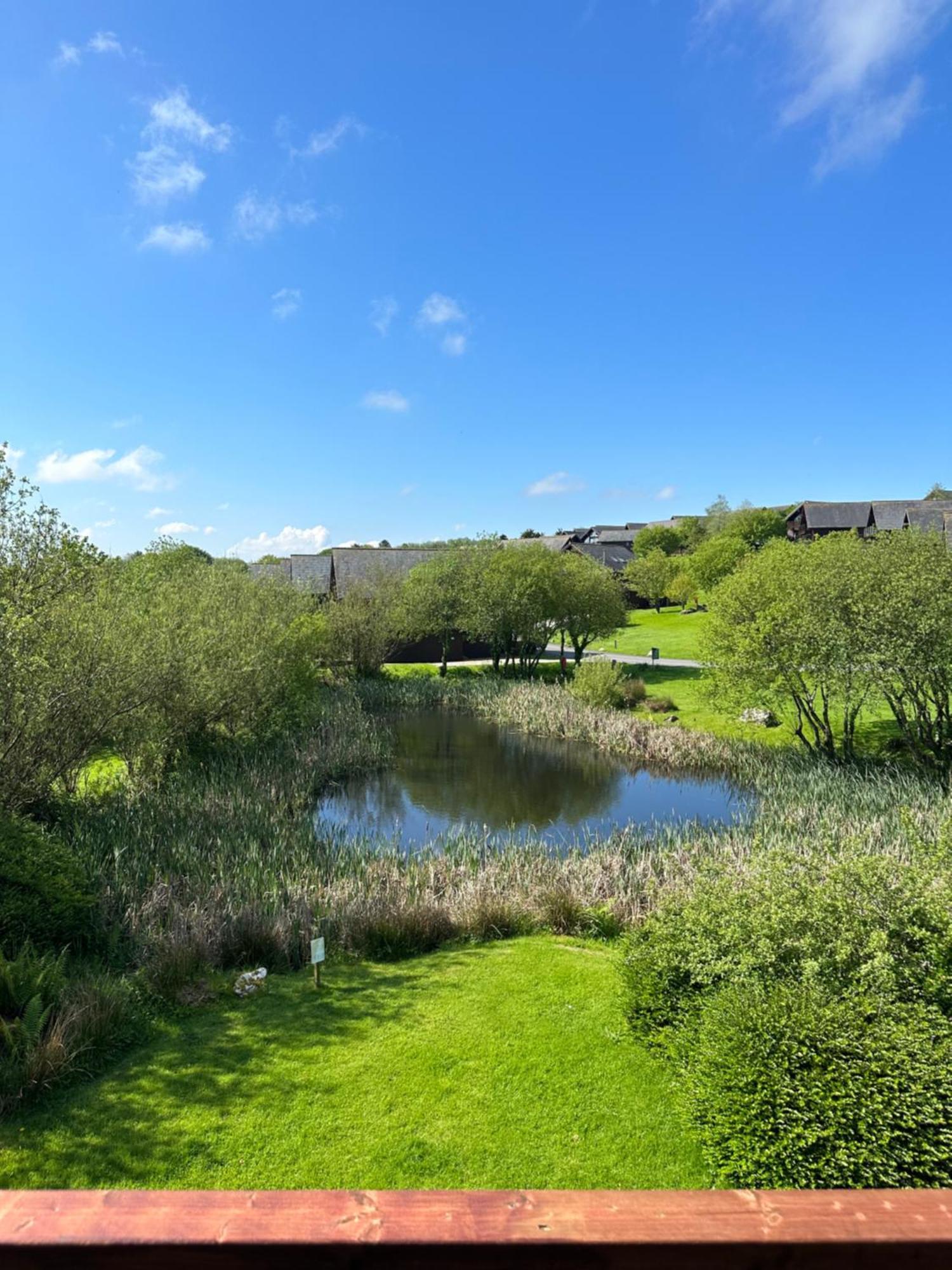 Swallow Lodge With Hot Tub, Dogs Welcome Sleeps 8, Great Resort Facilities Padstow Exterior photo